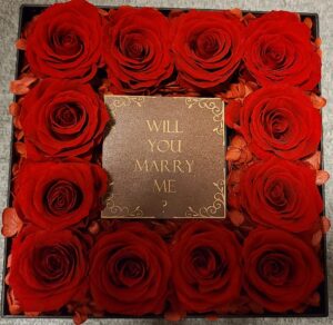 ホームページオープン