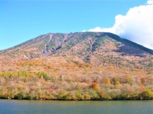 秋の紅葉を楽しむ森林散策について