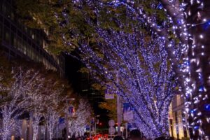 関東エリアで素敵なクリスマスデートスポット