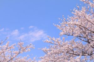 【春の特別キャンペーン】入会金33,000円⇒22,000円（税込）に値下げします！！